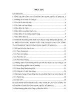 Đẩy mạnh tiêu thụ sản phẩm thạch cao của CTCP kĩ thuật ứng dụng quốc tế (IPECO)