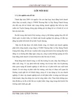 Giải pháp phát triển thị trường tiêu thụ sản phẩm gỗ nguyên liệu của công ty TNHH Thương Mại và Xây Dựng Thanh Giang