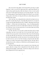 Đại chế độ ruộng đất trong lịch sử việt nam