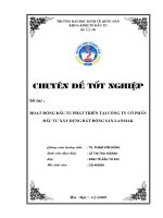 Hoạt động đầu tư phát triển tại Công ty cổ phần đầu tư xây dựng bất động sản Lanmak