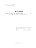 Xây dựng, bảo vệ và phát triển thương hiệu cho các doanh nghiệp VN