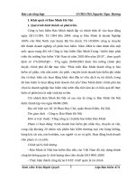 Báo cáo về Công ty Bảo Minh Hà Nội