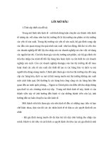 Phân tích cơ cấu chi tiêu và thu nhập của hộ gia đình ở Việt Nam năm 2004