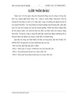 Hoạt động kinh doanh của Cty Bắc Hà