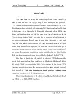 Phát triển hoạt động tự doanh tại Công ty chứng khoán Habubank