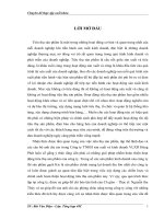Giải pháp hoàn thiện hoạt động tiêu thụ sản phẩm gạch Kis của công ty TNHH sản xuất và kinh doanh VLXD Hùng Phát