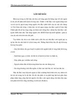 Đầu tư trực tiếp nước ngoài ở VN