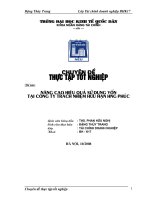 Nâng cao hiệu quả sử dụng vốn tại công ty TNHH Hưng Phúc