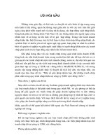 Một số Giải pháp nhằm hạn chế những chanh trấp phát sinh trong quy trình NK tại Cty XNK vật tư đường biển