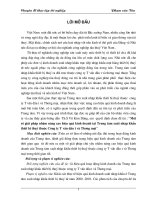 Một số Giải pháp nhằm nâng cao hiệu quả kinh doanh tại Trung tâm XNK thiết bị thuỷ thuộc Cty Tư vấn đầu tư và TM