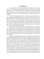 Hoàn thiện công tác hạch toán TTTP & xác định kết quả tiêu thụ tại Cty Liên Doanh mứt xốp Việt Nhật