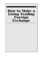 Trading Foreign Exchange