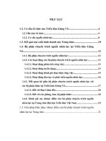 báo cáo thực tập tại Triển lãm Giảng Võ