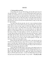 Tác động của đầu tư trực tiếp nước ngoài (FDI) tới phát triển kinh tế - xã hội ở tỉnh Bình Dương