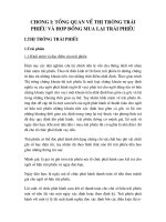 Thực trạng hoạt động của Cty CK ACB và xu thế ứng dụng nghiệp vụ mua lại trái phiếu