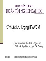Kỹ thuật lưu lượng IP-WDM
