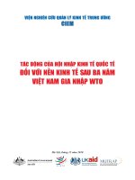 Tác động của hội nhập kinh tế quốc tế sau ba năm gia nhập WTO 