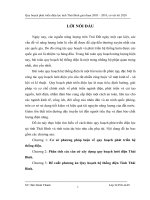 Quy hoạch phát triển điện lực tỉnh Thái Bình giai đoạn 2005 – 2010, có xét tới 2020