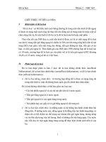 Đô la hóa. Thực trạng và giải pháp