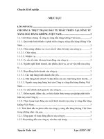 Thực trạng và giải pháp tăng cường đầu tư phát triển tại Công ty xăng dầu hàng không Việt Nam