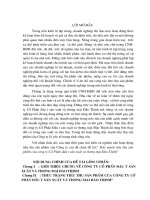 Đẩy mạnh tiêu thụ sản phẩm của công ty Cổ Phần đầu tư sản xuất và thương mại Đào Thịnh