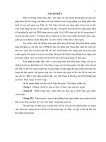 đầu tư trực tiếp nước ngoài (2)