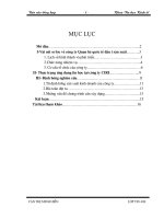 Tại Công ty Quan hệ quốc tế đầu tư sản xuấ