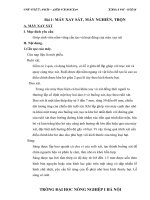 Nghiên cứu thiết bị xay sát, sấy nông sản