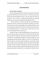 Thực trạng và những giải pháp phát triển kinh tế trang trại ở huyện Gia Lâm- Hà Nội