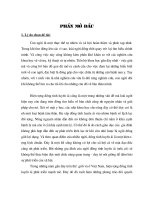 Hoàn thiện kế toán bán hàng và xác định kết quả bán hàng tại Công ty cổ phần vật tư tổng hợp Xuân Trường