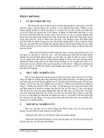 Phân tích tình hình tài chính công ty TNHH liên doanh CNTP An Thái.