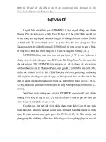 Phát triển thị trường xuất khẩu bóng sáng Châu Âu