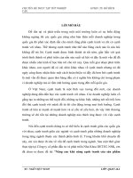 Nâng cao khả năng cạnh tranh của sản phẩm Răng-Hàm giả của Công ty cổ phần đầu tư và phát triển Nha Khoa DETEC-NSK