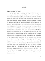 CPH Doanh nghiệpNN trên địa bàn Tỉnh Hà Tây thực trạng & Giải pháp