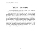 CPH Doanh nghiệp Nhà nước ở VN