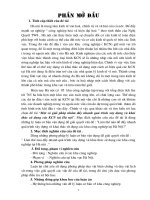 Hoàn thiện kế toán nghiệp vụ bán hàng tại Công ty TNHH Tân Đức