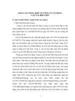 Tìm hiểu về công ty cổ phần vận tải biển bắc