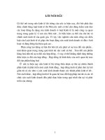 Phân tích những điều khoản chủ yếu của hợp đồng.doc