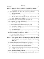 Đa dạng hóa sản phẩm điện tử gia dụng của Công ty Cổ phẩn Viettronics Đống Đa