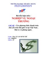 Các phương thức thanh toán chủ yếu trên thế giới và tại Việt Nam . Rủi ro và phòng ngừa