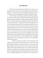 Thực trạng và một số giải pháp nhằm thu hút đầu tư trực tiếp nước ngoài tại Việt Nam