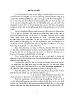 Cổ phần hóa Doanh nghiệp nhà nước ở Hà Tây- thực trạng và Giải pháp