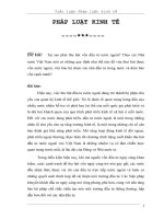 Thu hút vốn đầu tư nước ngoài và bảo hộ các nhà đầu tư trong nước