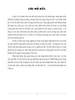 Phương hướng và giải pháp phát triển công ty TNHH Thương mại tổng hợp Nam Việt