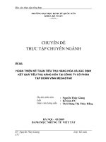 Hoàn thiện kế toán tiêu thụ hàng hóa và xác định kết quả tiêu thụ hàng hóa tại công ty cổ phần tập đoàn vina megastar