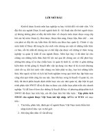 Tập phân tích SWOT cho ngành Dược Việt Nam khi hội nhập AFTA và WTO với mục tiêu