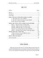 Giới thiệu và đánh giá thực trạng Cty Cổ phần khí công nghiệp