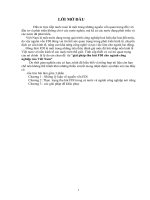 Giải pháp thu hút FDI cho ngành công nghiệp của Viêt Nam