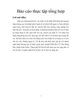 Tổng hợp về ngân hàng thương mại cổ phần các doanh nghiệp ngoài quốc doanh Việt Nam ( VPBANK)