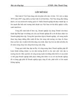 Báo cáo tổng hợp xây dựng Thành Lâm